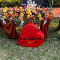 Ceremonia de boda en jardín